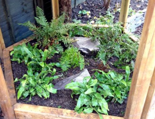 Small Space, Big Impact: How to Maximize Your North London Garden