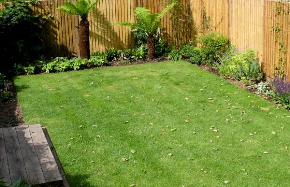 Family Garden in Belsize Park 10