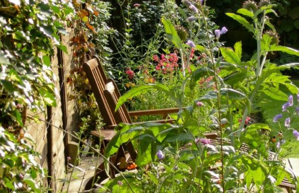 Family Garden in Belsize Park 2
